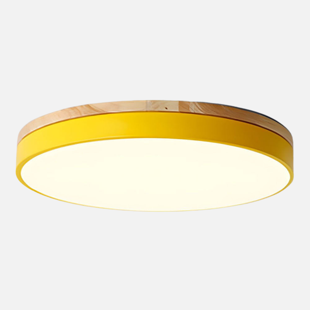 Ceiling Light | Circular Panel