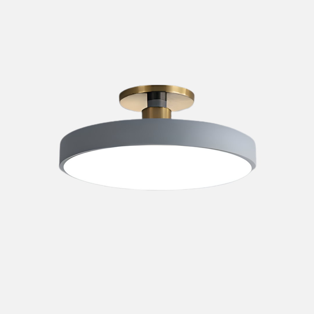 Ceiling Light | Flat Disc Structure