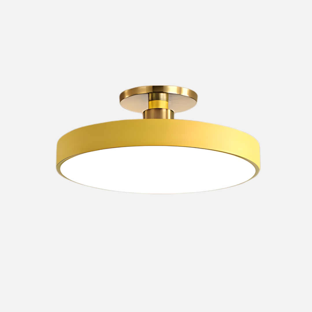 Ceiling Light | Flat Disc Structure