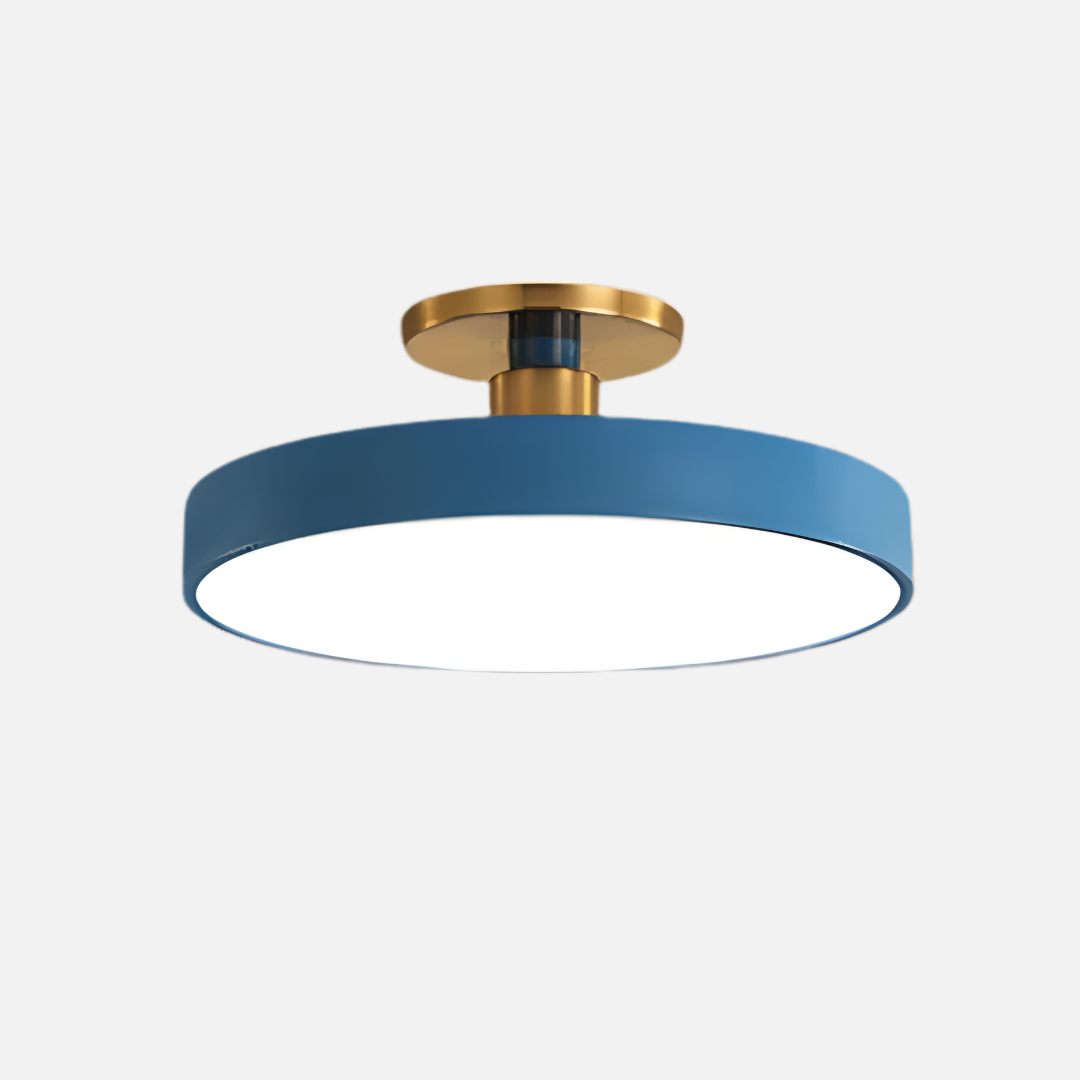 Ceiling Light | Flat Disc Structure