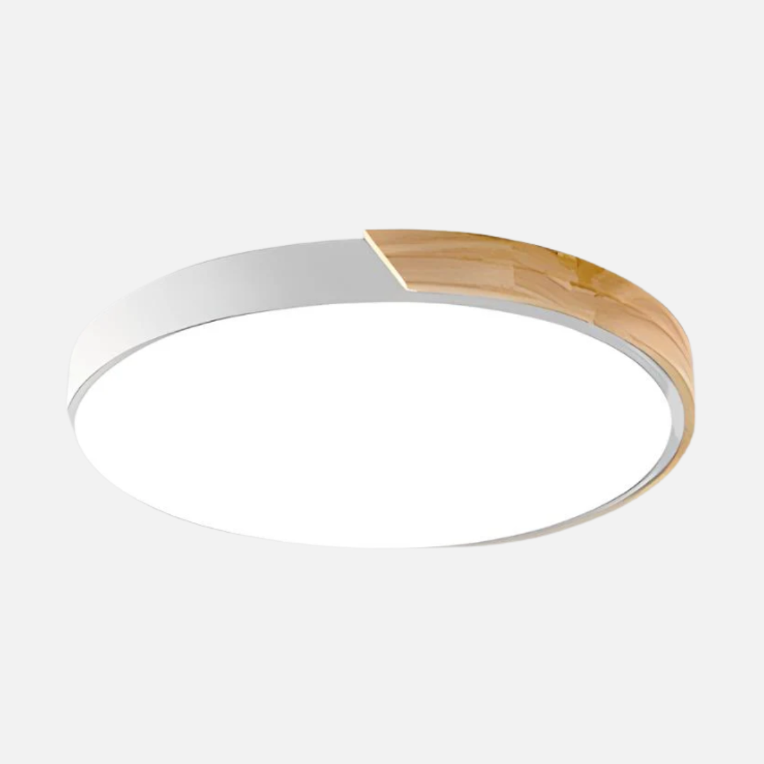 Ceiling Light | Minimal Disc Slim Circular Form