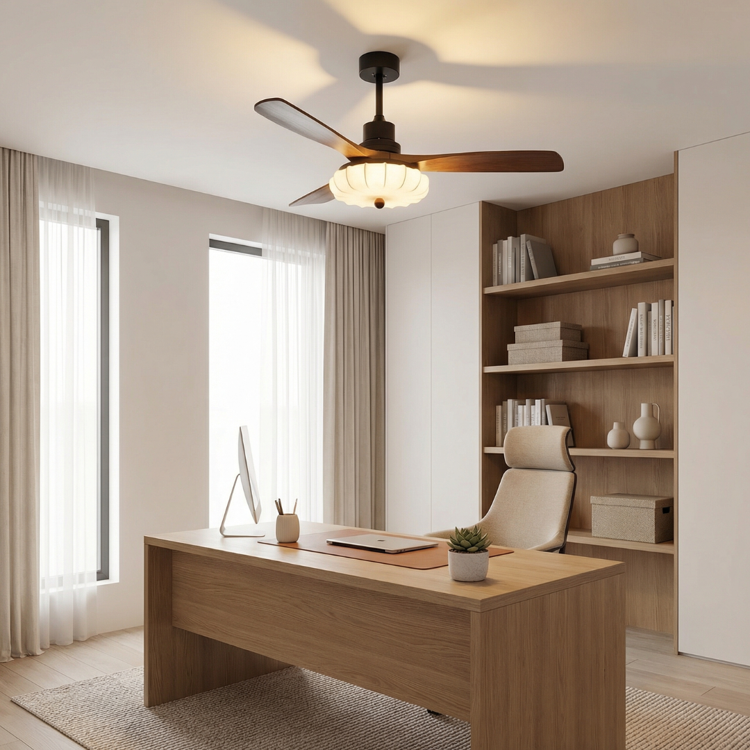 Ceiling Light | Fan Combo