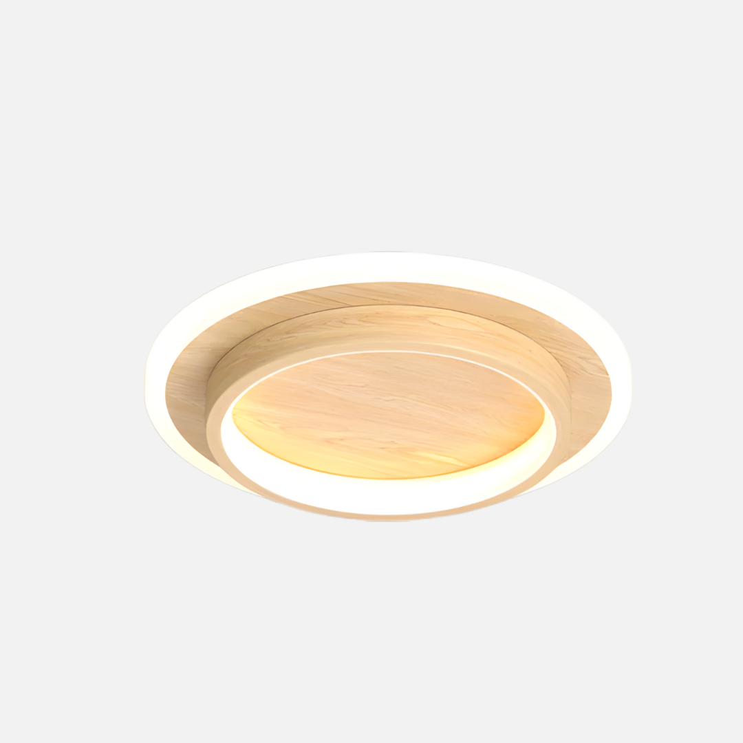 Ceiling Light | Dual Ring Integrated LED Source