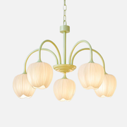Chandelier Light | Tulip Globe Design