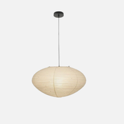 Pendant Light | Oval Lantern