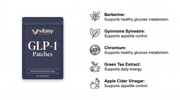 GLP-1 Patches v1 — Ingredient Overview