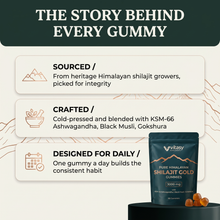 Shilajit Gummies v6.2 the story behind every gummy