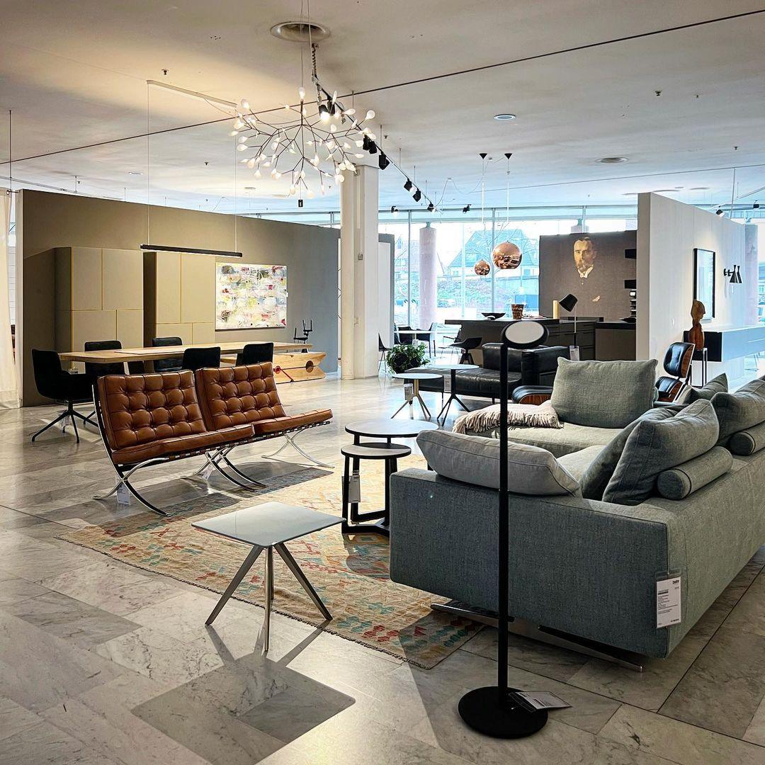 Chandelier Light | Branch LED Fixture