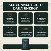 Shilajit Gummies v6.2 all connected to daily energy