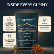 Shilajit Gummies v5.2 inside every gummy ingredients