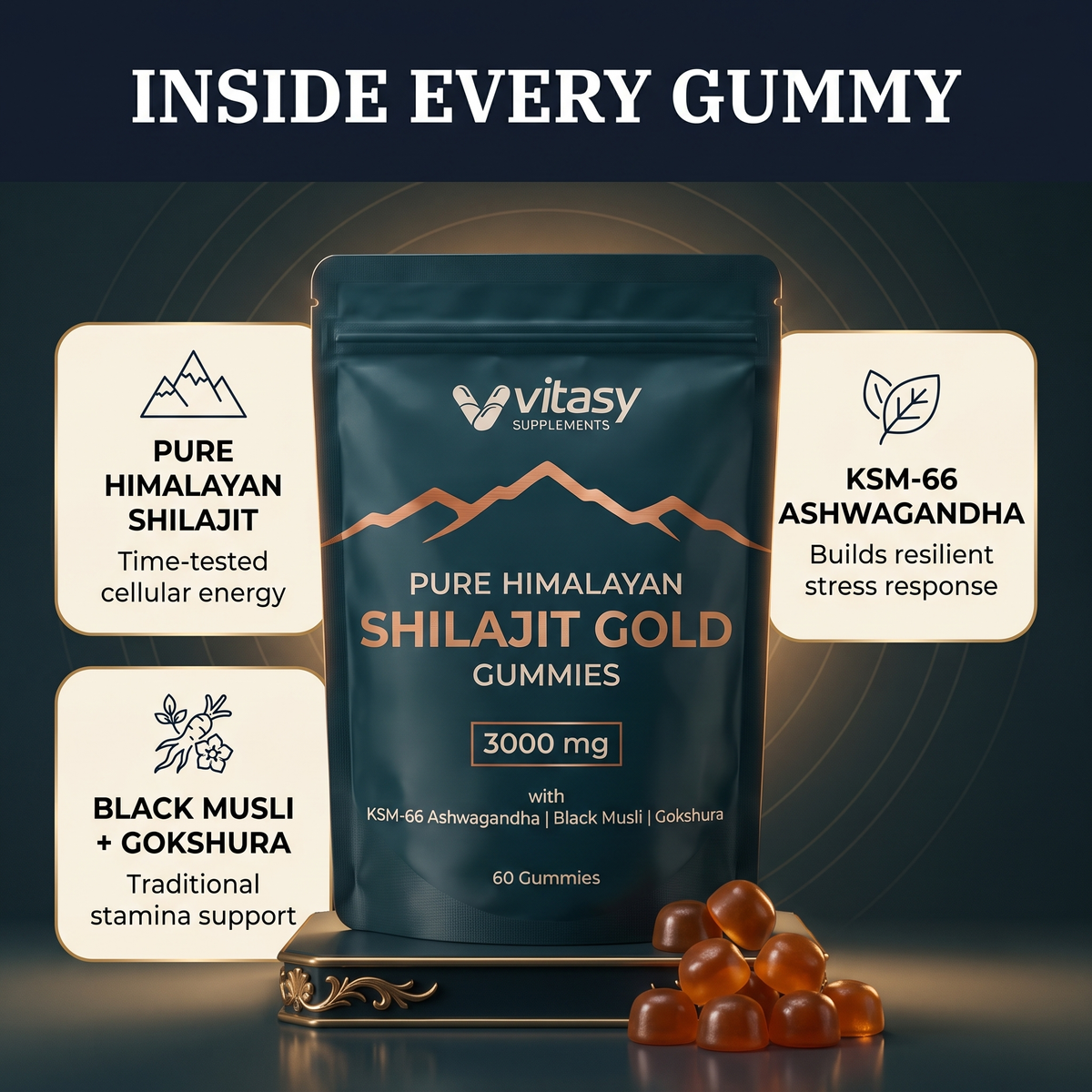 Shilajit Gummies v5.2 inside every gummy ingredients