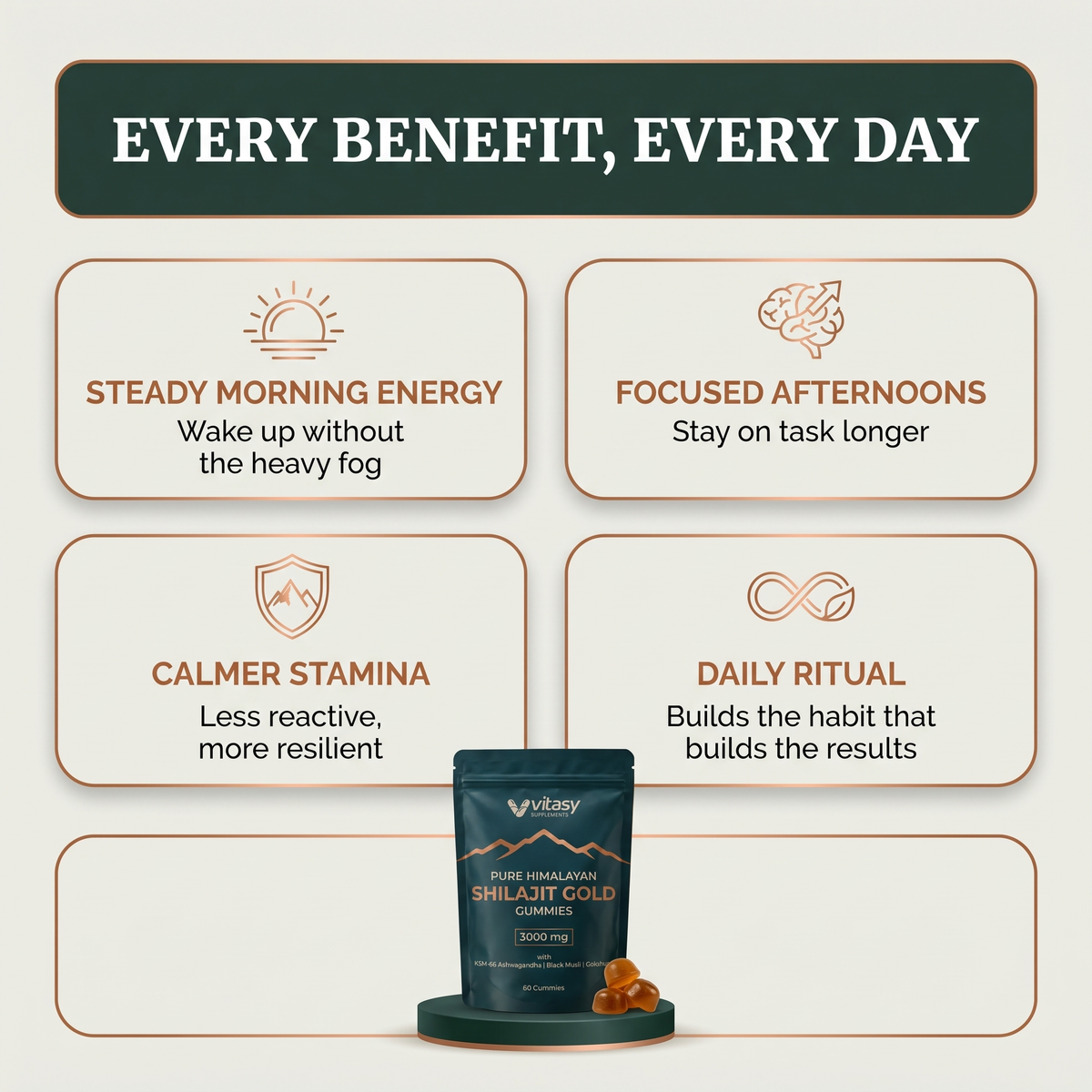 Shilajit Gummies v6.2 every benefit every day