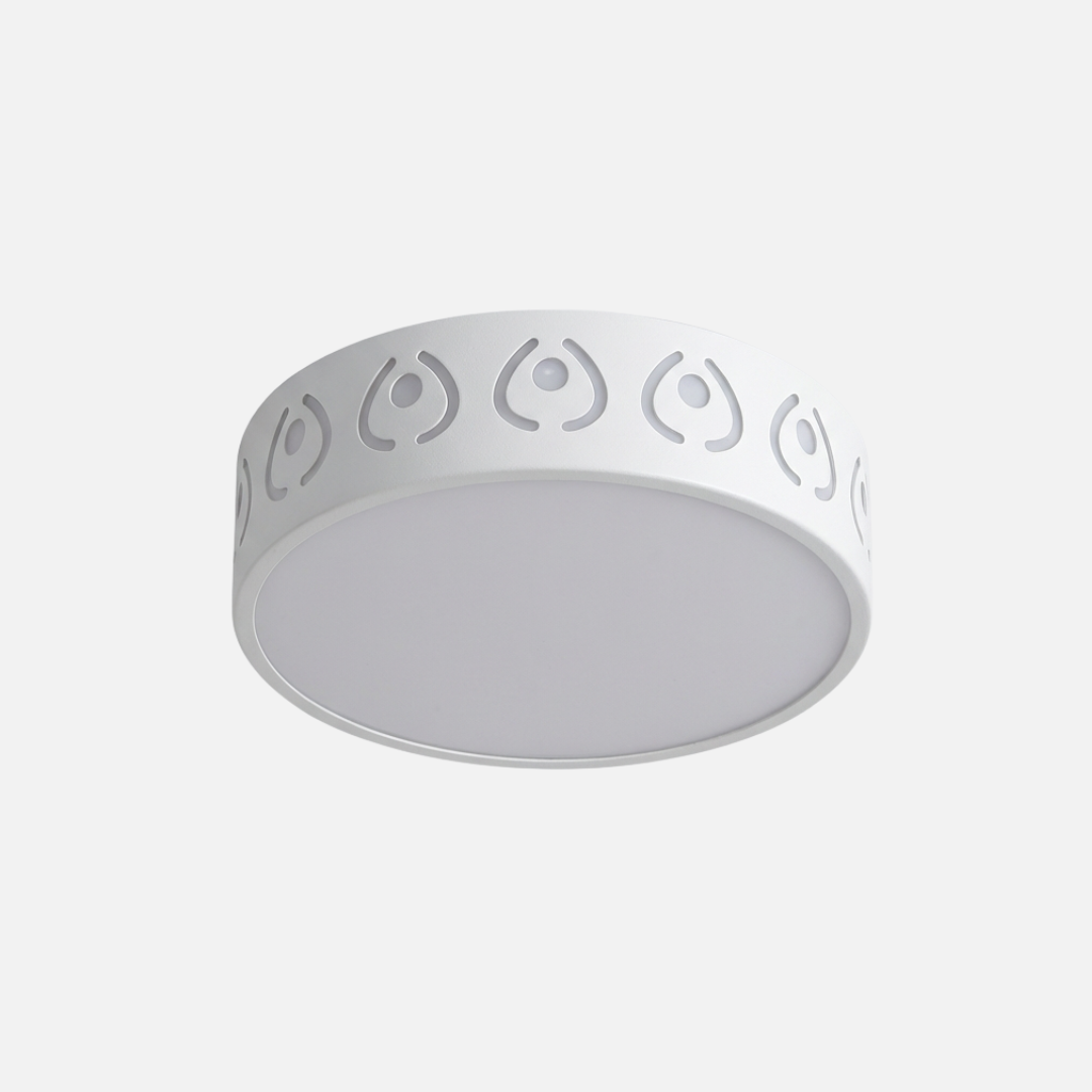 Ceiling Light |  Compact circular Body