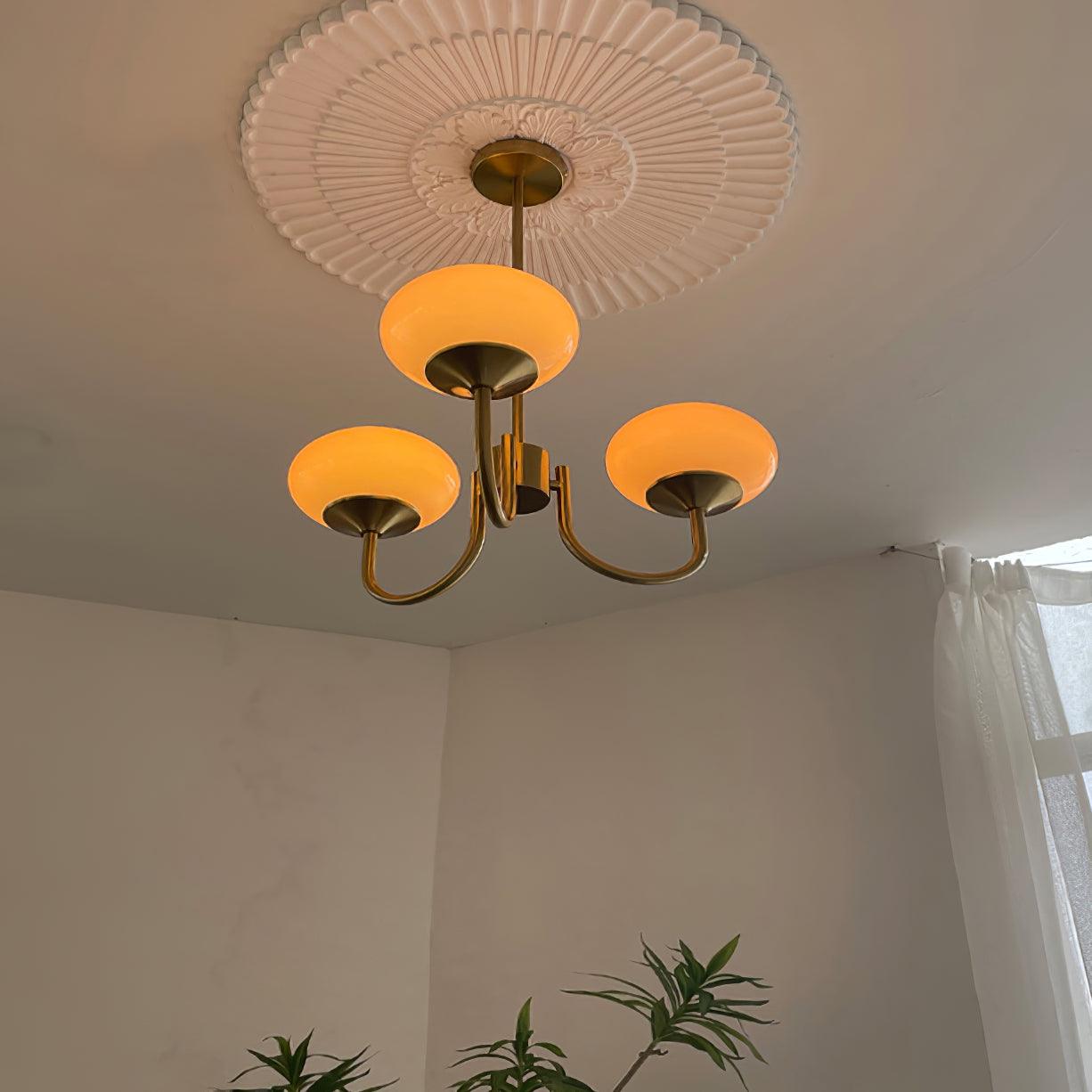 Chandelier Light | Curved Globe Design