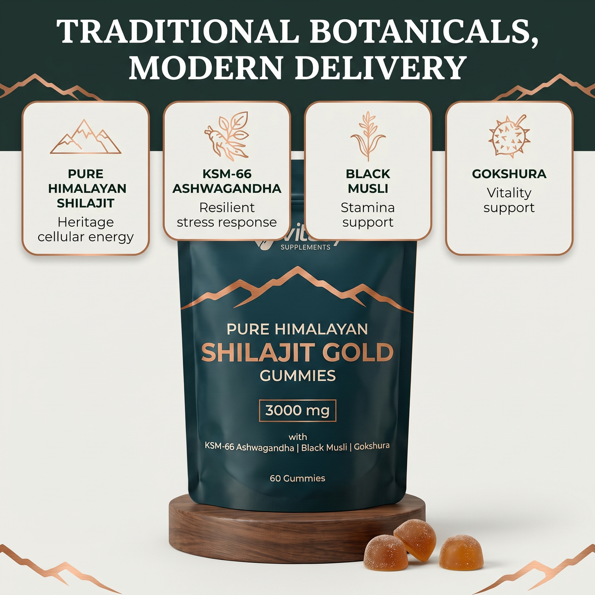 Shilajit Gummies v6.2 traditional botanicals modern delivery