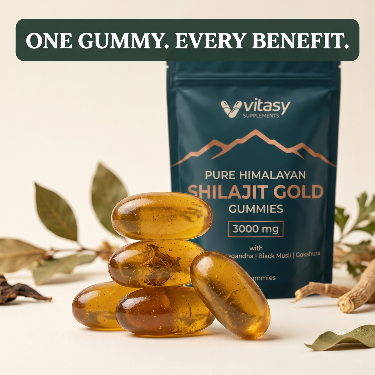 Shilajit Gummies v6.2 one gummy every benefit
