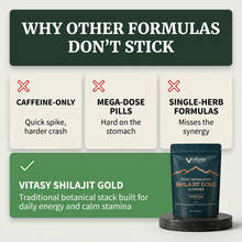 Shilajit Gummies v6.2 why other formulas do not stick