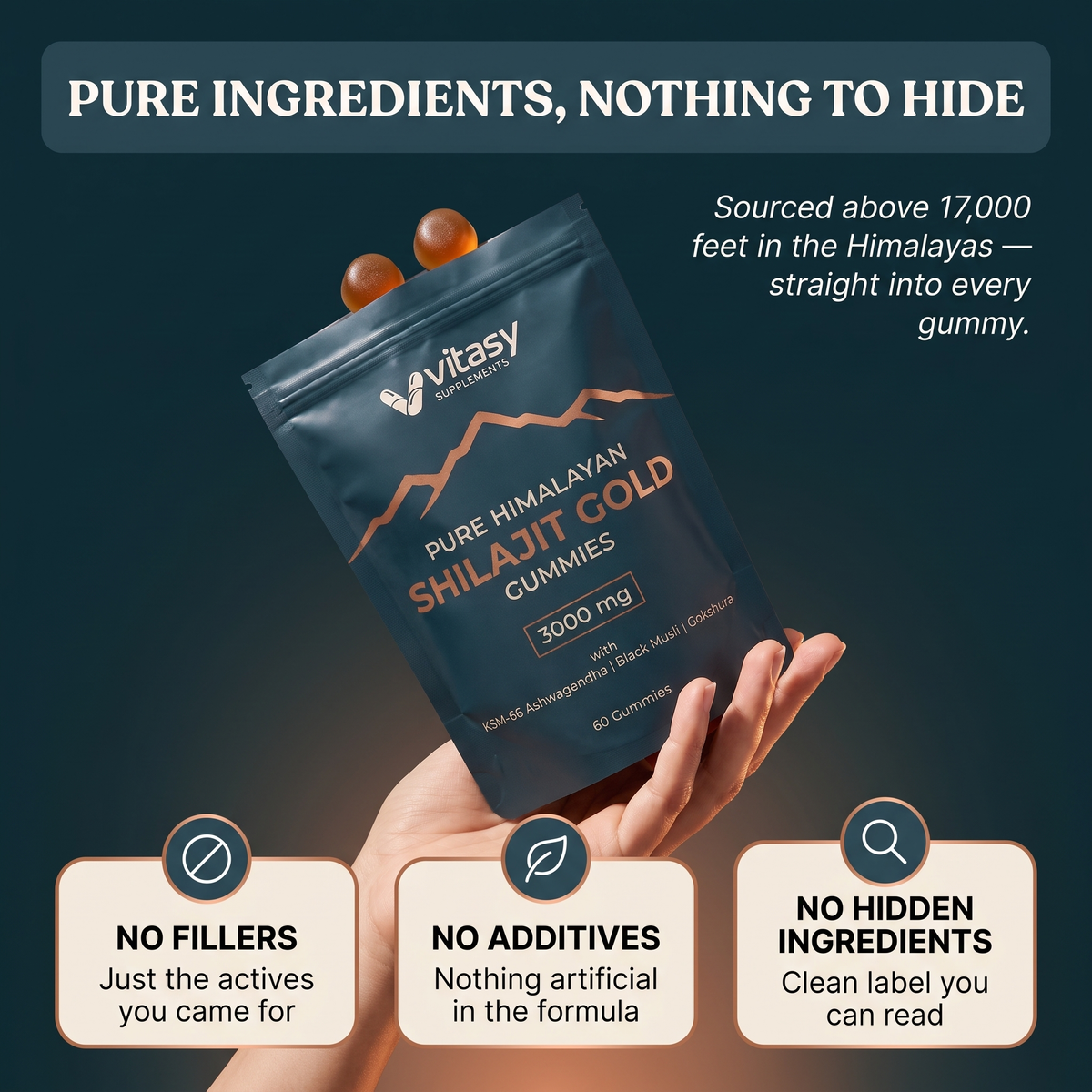 Shilajit Gummies v8.2 pure ingredients nothing to hide