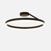 Ceiling Light | Offset Circle