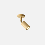 Ceiling Light | Linear Spotlight