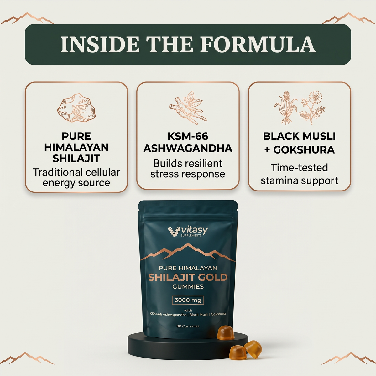 Shilajit Gummies v6.2 inside the formula