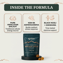 Shilajit Gummies v6.2 inside the formula