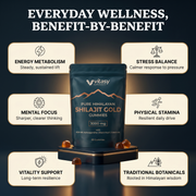 Shilajit Gummies v5.2 benefit overview