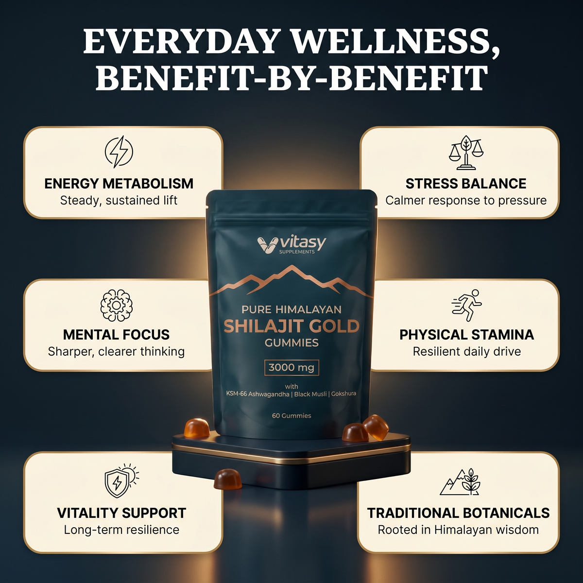 Shilajit Gummies v5.2 benefit overview