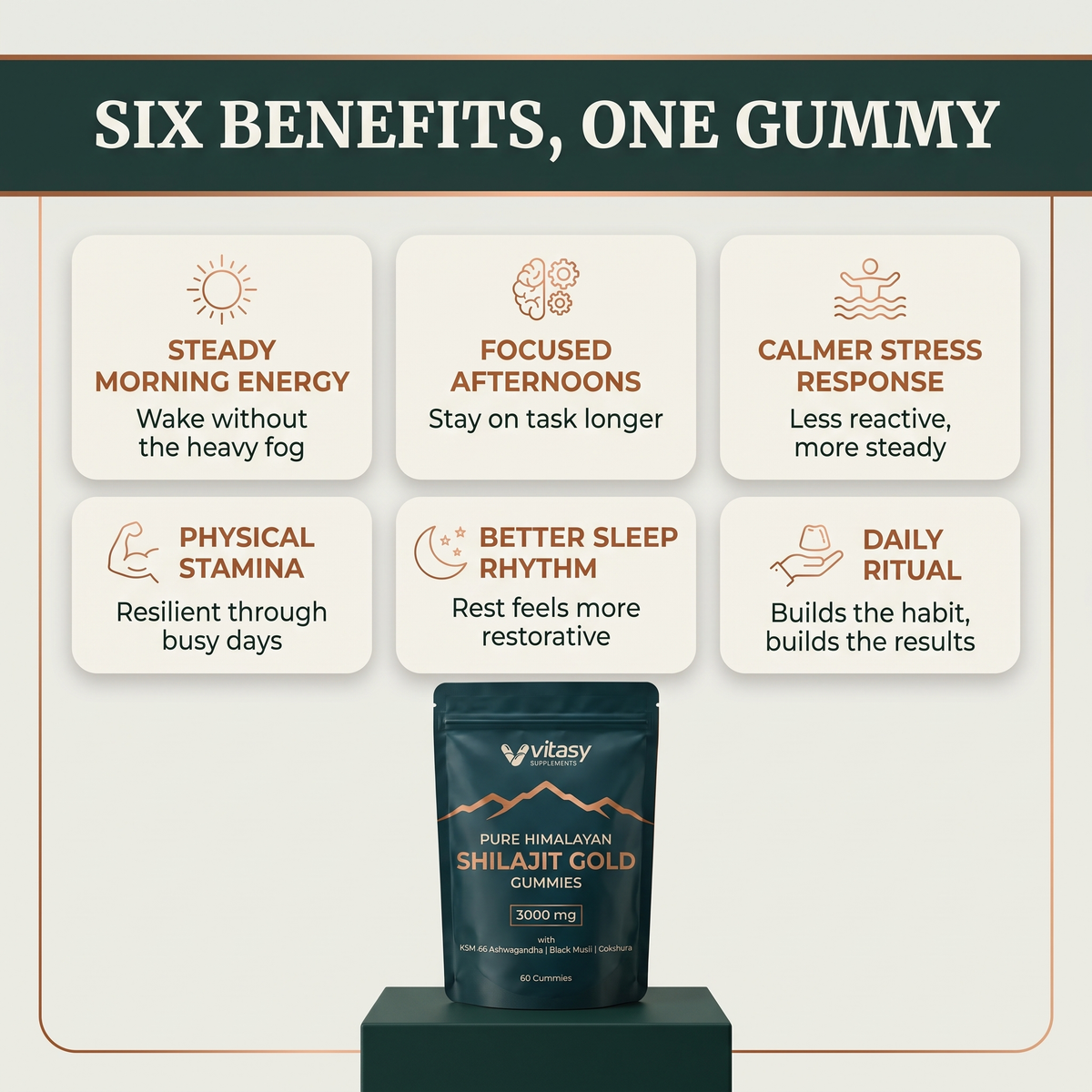 Shilajit Gummies v6.2 six benefits one gummy