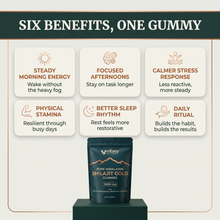 Shilajit Gummies v6.2 six benefits one gummy