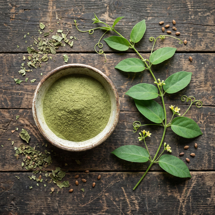 Gymnema Sylvestre