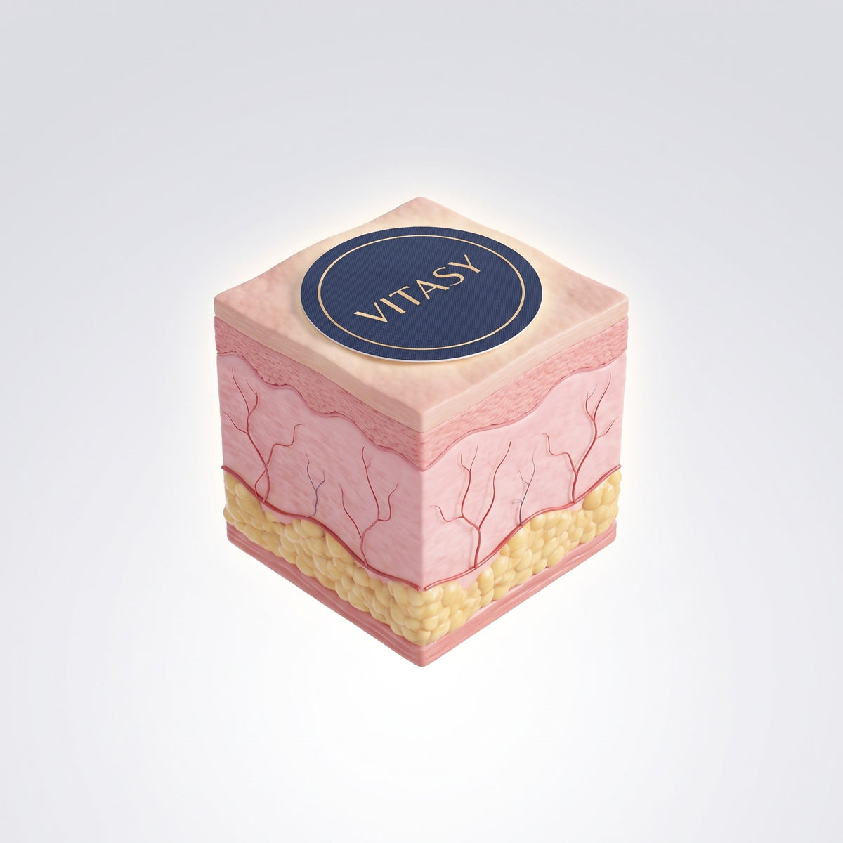 Illustrated skin cross-section with a Vitasy patch on top