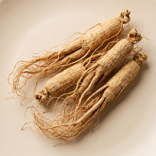 Ginseng