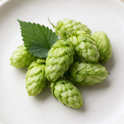 Hops