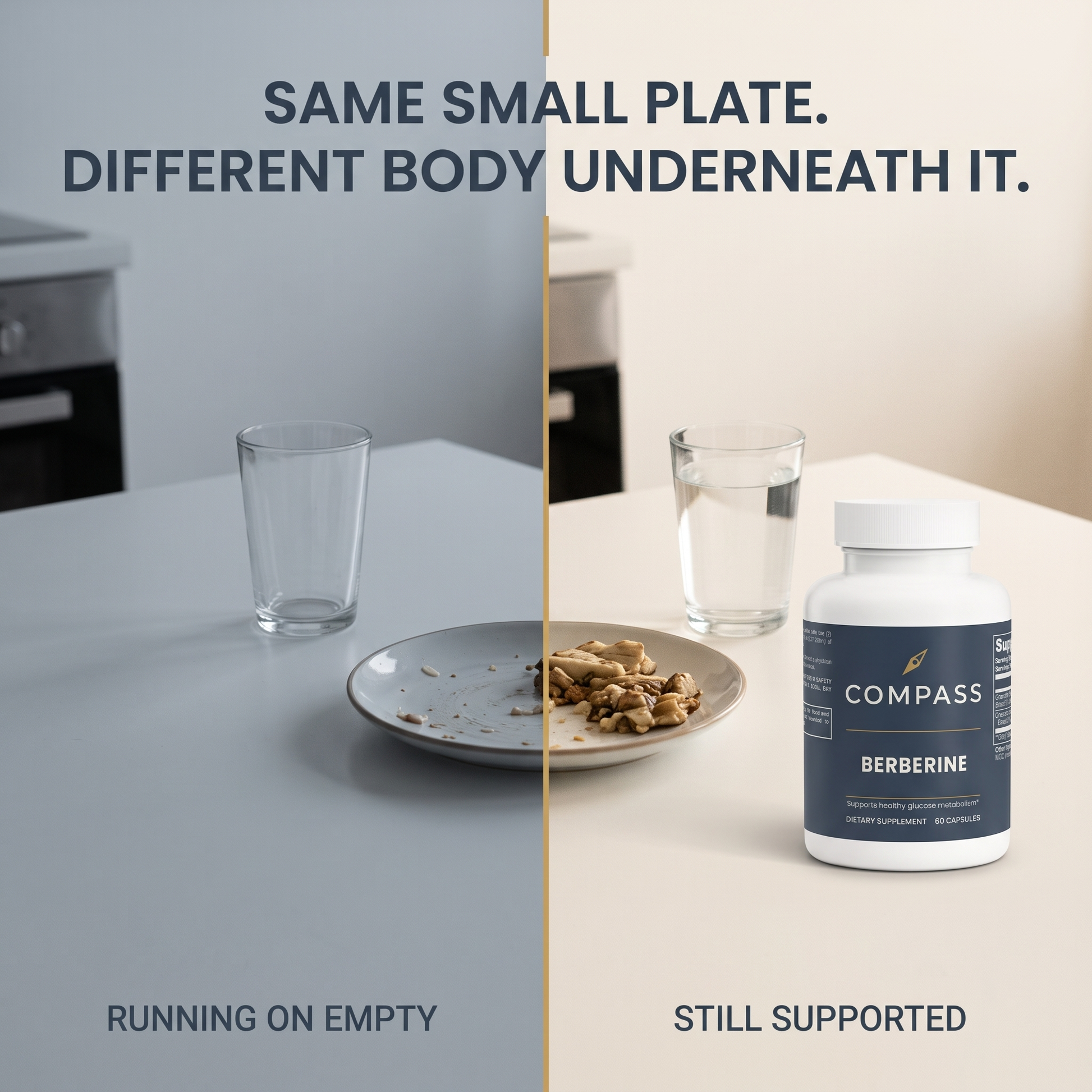 Same small plate. Different body underneath it.