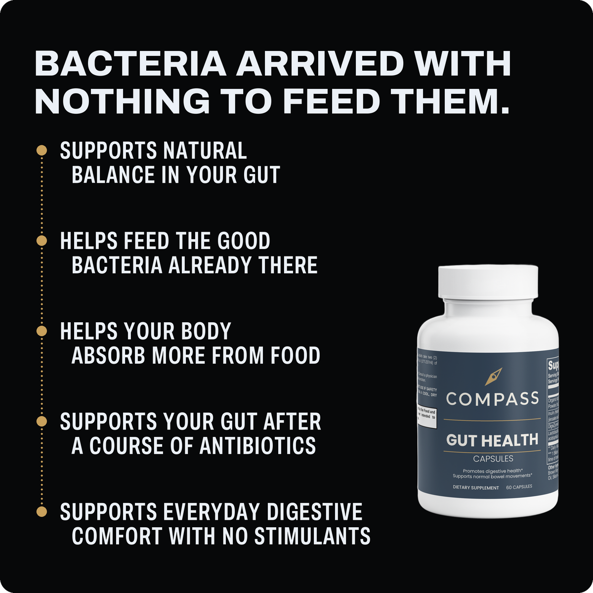 Bacteria arrived with nothing to feed them - six benefits panel - v2