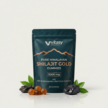 Shilajit Gummies v6.2 hero pouch