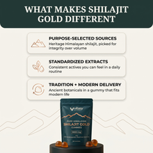 Shilajit Gummies v6.2 what makes shilajit gold different