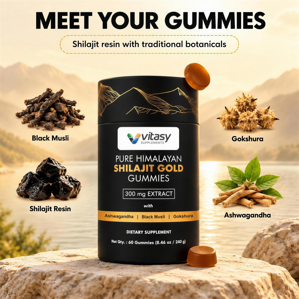Meet your gummies (v2)