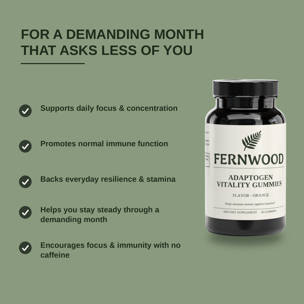 FERNWOOD Adaptogen Vitality Gummies benefits panel v2 - supports daily focus and concentration, promotes normal immune function, backs everyday resilience and stamina, helps you stay steady through a demanding month, encourages focus and immunity with no caffeine.