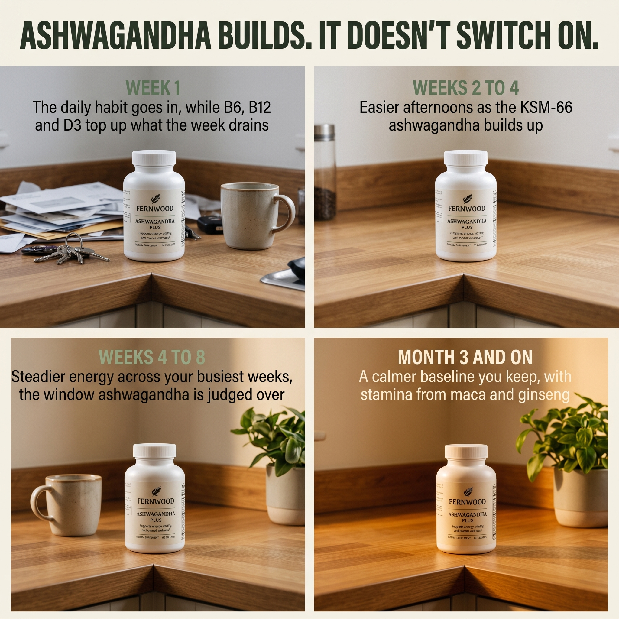 Ashwagandha builds. It doesn't switch on.