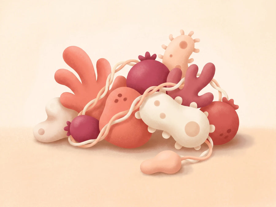 Gut microbiome balance illustration