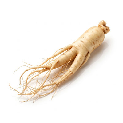 Panax Ginseng