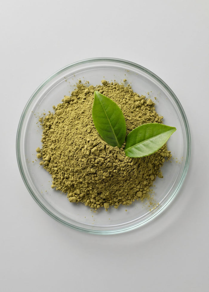 Green Tea Extract
