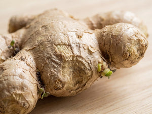 Ginger