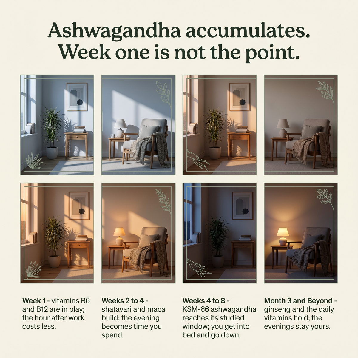 Ashwagandha accumulates. Week one is not the point.