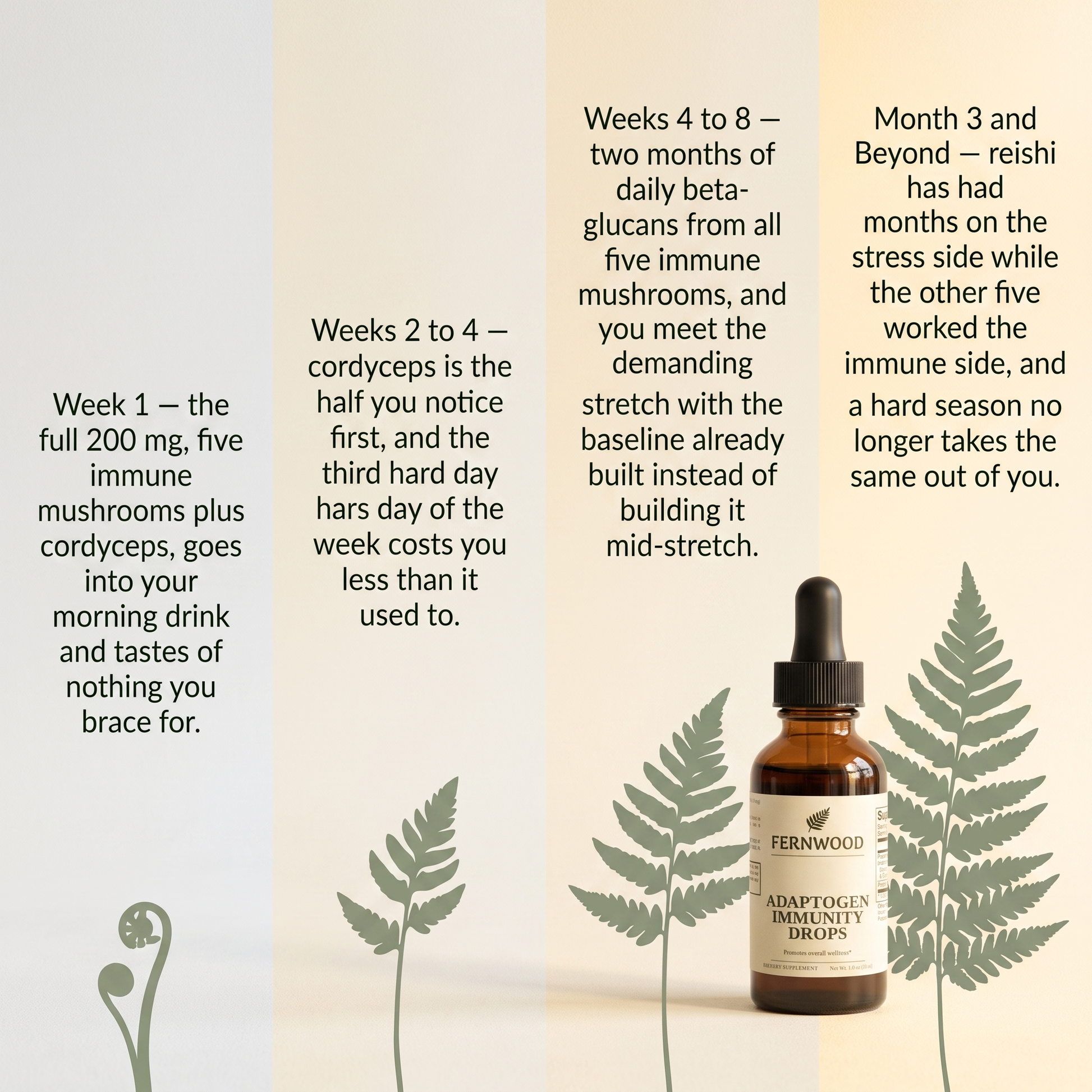 v2 - Week 1 to month 3: what each stage of FERNWOOD Adaptogen Immunity Drops gives you.