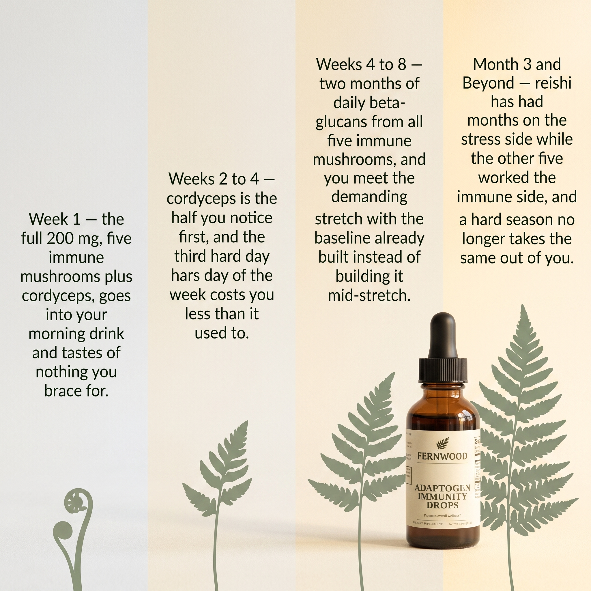 v2 - Week 1 to month 3: what each stage of FERNWOOD Adaptogen Immunity Drops gives you.