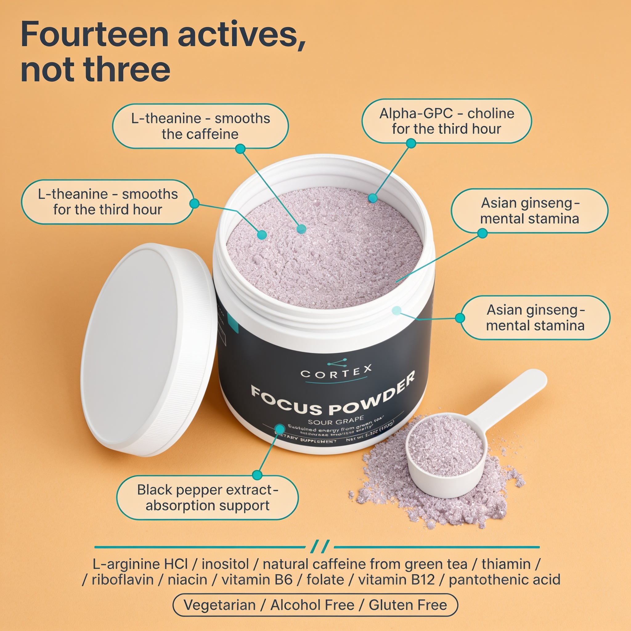 CORTEX Focus Powder label flat lay, fourteen actives and their roles - v1