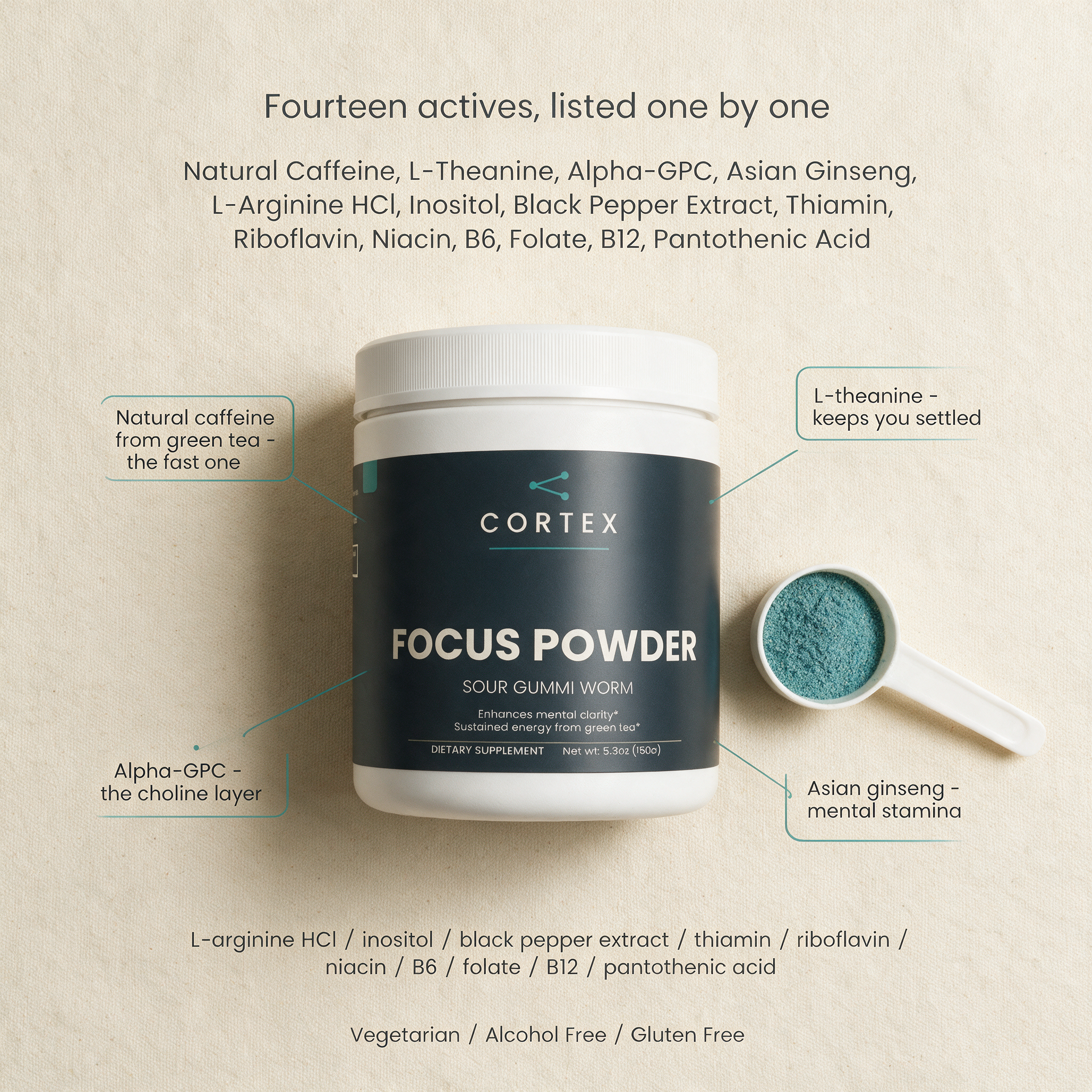 CORTEX Focus Powder Sour Gummi Worm label flat lay, fourteen actives and their roles — flat lay v1
